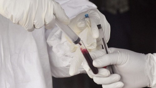 Вакцина от Эболы: возлагается надежда на ликвидацию эпидемии на западе Африки - ảnh 1